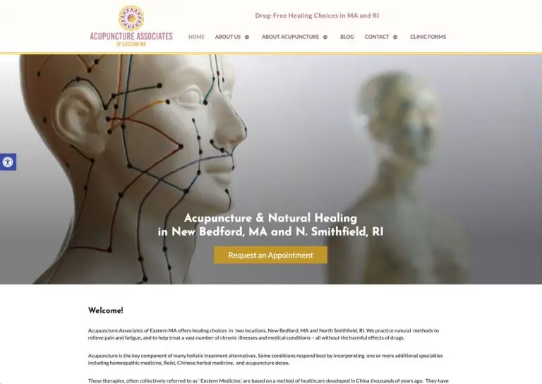 acupuncture website design portfolio example 12